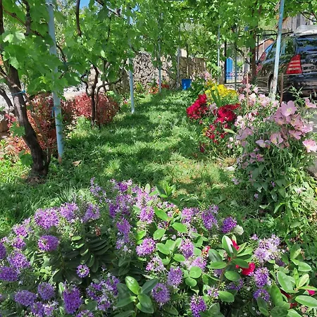 Vila Jurgen House Piskupat